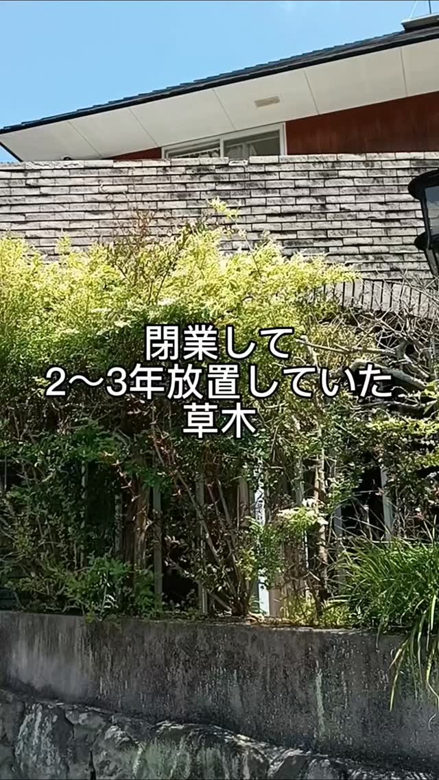 2〜3年放置されていた草木が…劇的ビフォーアフター！✨ 復活に向けて、外回りがと…